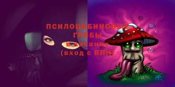 ешки Вязьма